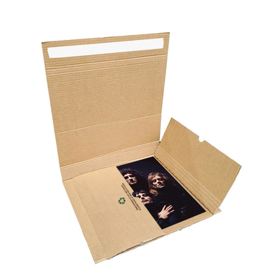 Custom Logo Self Sealing Zipper Tear Book Mailer Shipping Packaging Box With Adhesive Tape